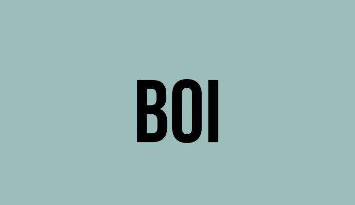 Is Boi Legit and Safe