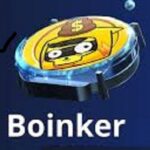 Is Boinker Legit and Safe