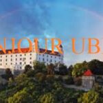 Is Bonjour Uberis Legit and Safe