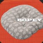 Is Bopey Legit and Safe