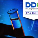 Is DDC DNA Testing Legit and Safe