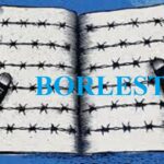 Is Borlest Legit and Safe