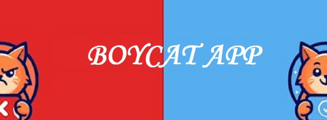 Is Boycat App Legit and Safe