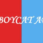 Is Boycat App Legit and Safe