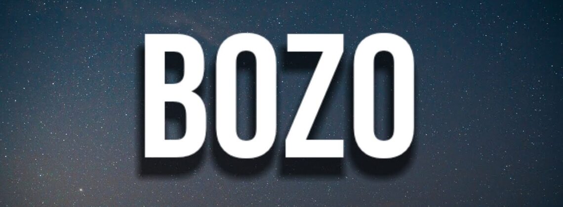 Is Bozo Legit and Safe