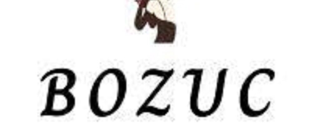 Is Bozuc Legit and Safe