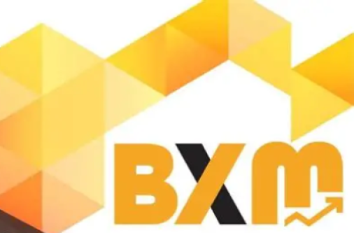 Is Bxm Legit and Safe