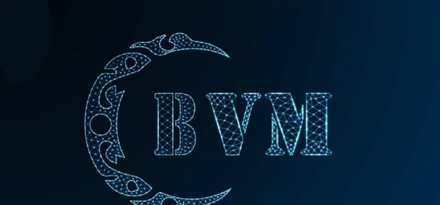 Is BVM Legit and Safe