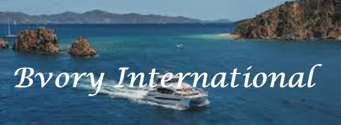 Is Bvoy International Legit and Safe