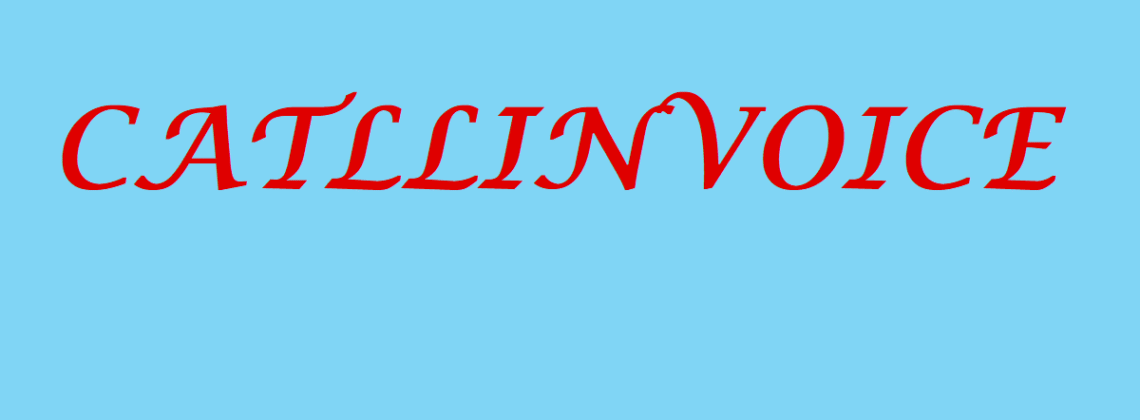 Is Catollinvoice Legit and Safe