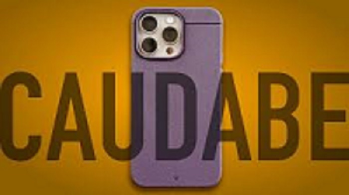 Is Caudabe Legit and Safe