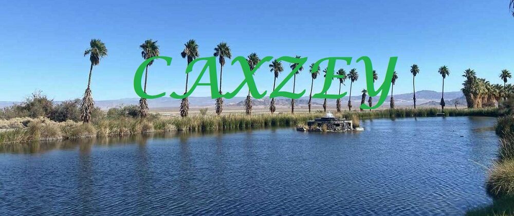 Is Caxzey Legit and Safe