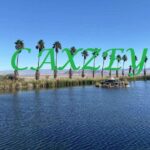 Is Caxzey Legit and Safe